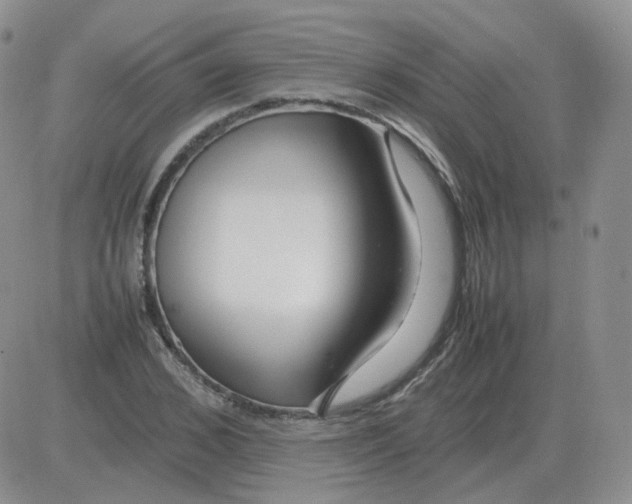 X0000082750976200702240034