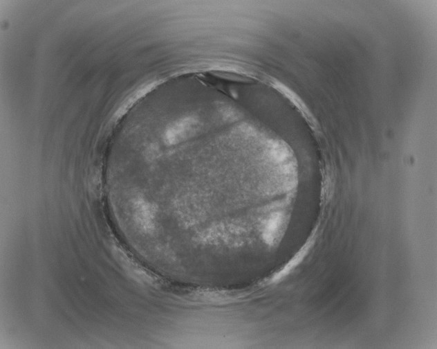 X0000082750977200702240034