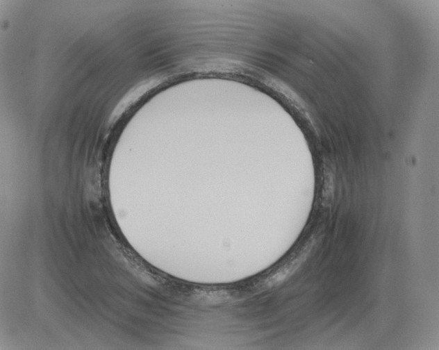 X0000082750978200702240034