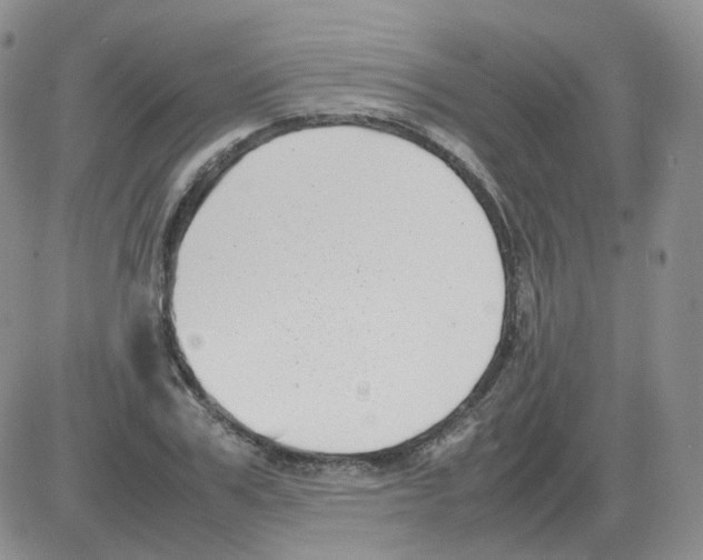 X0000082750979200702240034