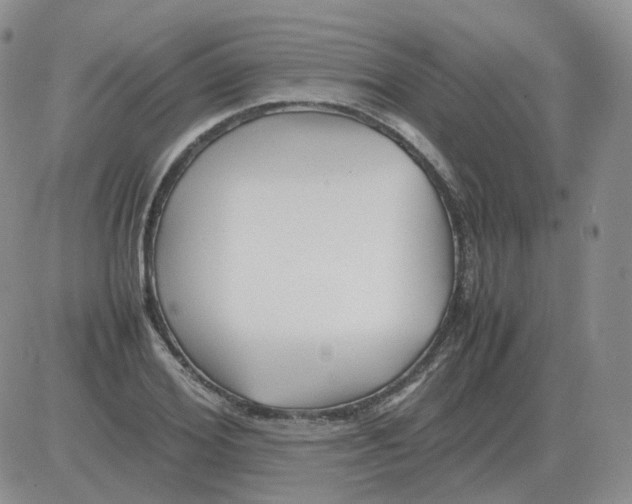 X0000082750980200702240034