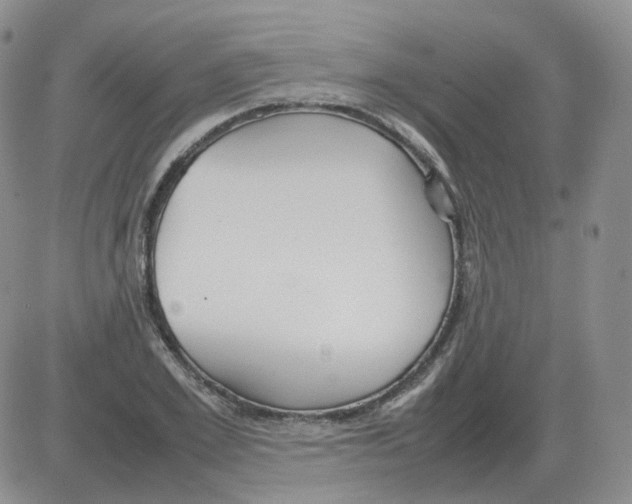 X0000082750981200702240034