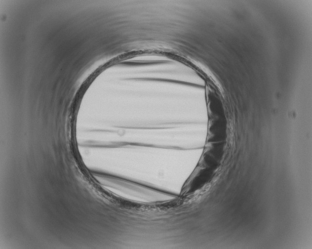 X0000082750983200702240034