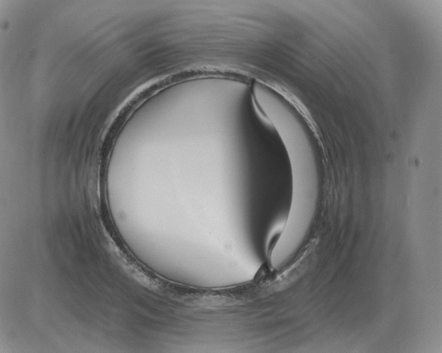 X0000082750984200702240034