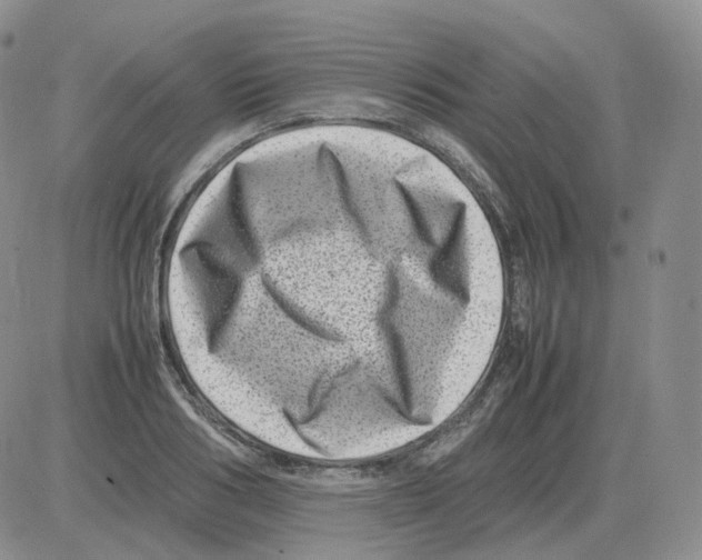 X0000082750986200702240034