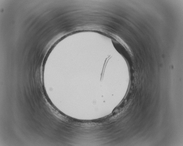 X0000082750988200702240034