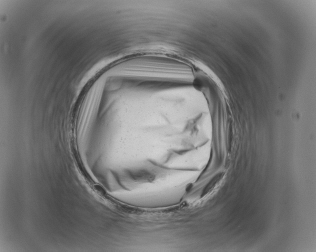 X0000082750989200702240034