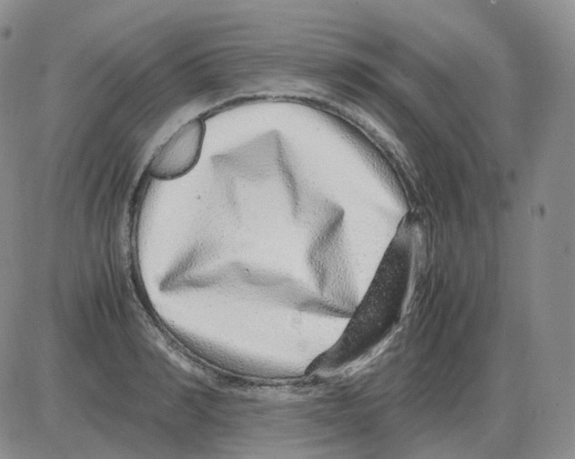 X0000082750990200702240034