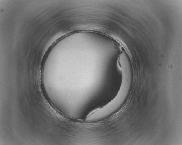 X0000082750992200702240034