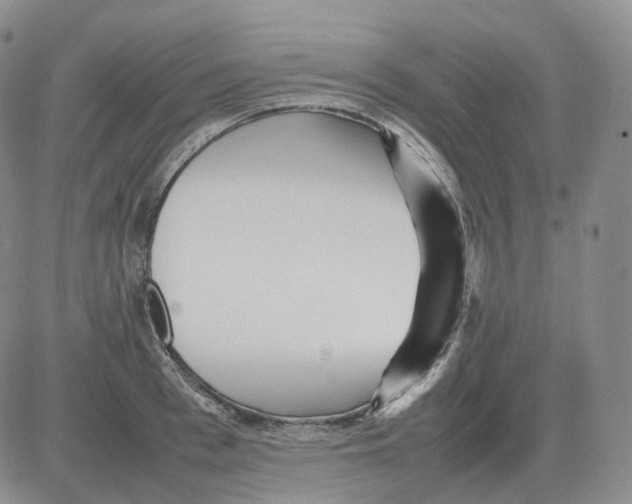 X0000082750993200702240034