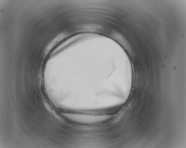 X0000082750994200702240034