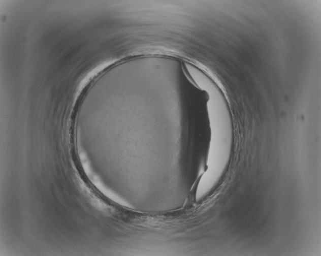 X0000082750995200702240034