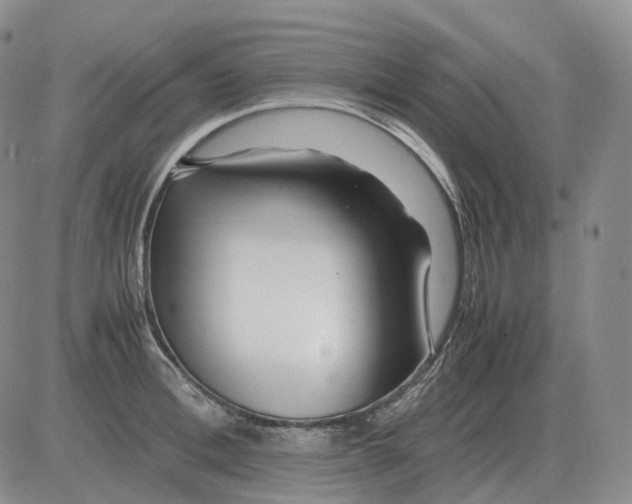 X0000082750996200702240034