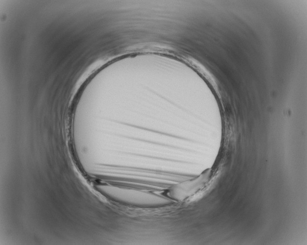 X0000082750997200702240034