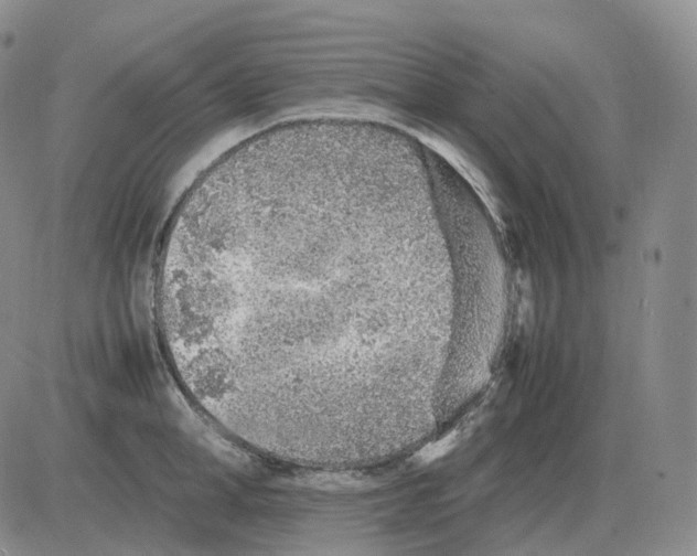 X0000082750998200702240034