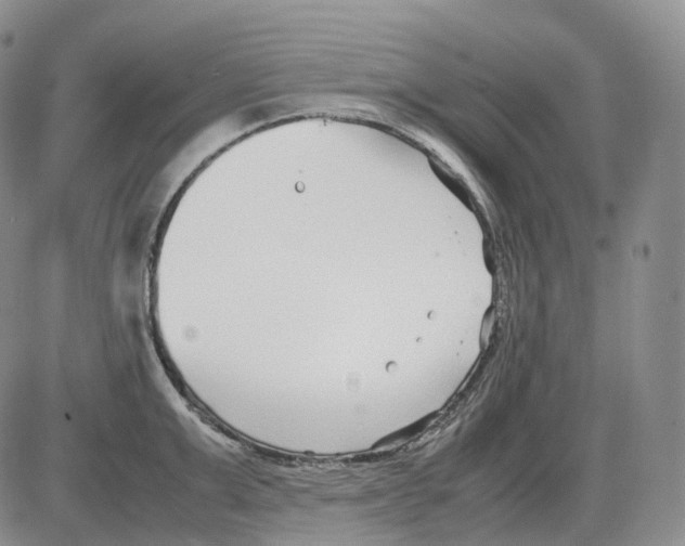 X0000082750999200702240034