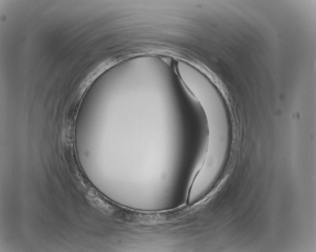 X0000082751001200702240034