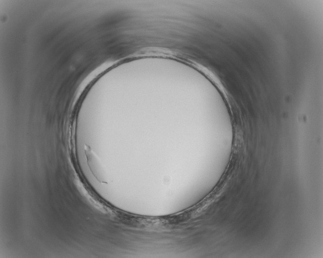 X0000082751003200702240034