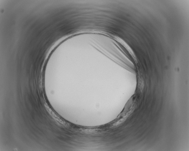 X0000082751004200702240034