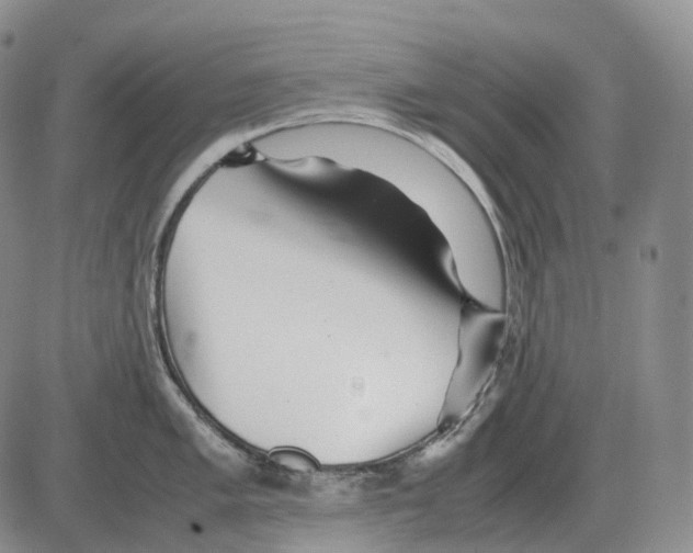 X0000082751005200702240034