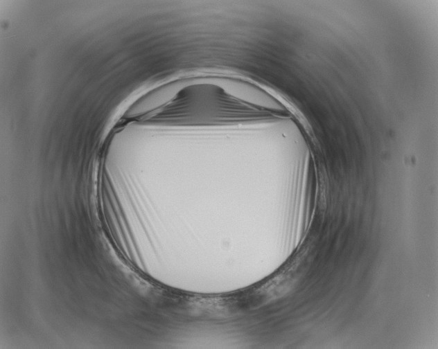 X0000082751006200702240034