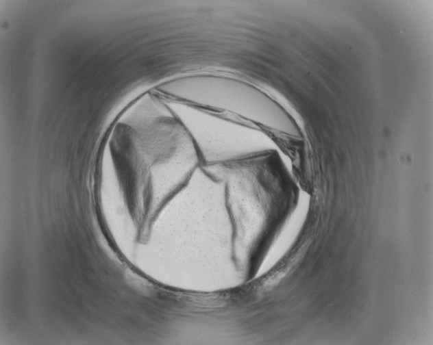 X0000082751007200702240034