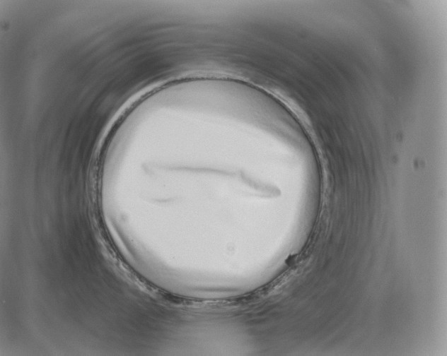 X0000082751008200702240034