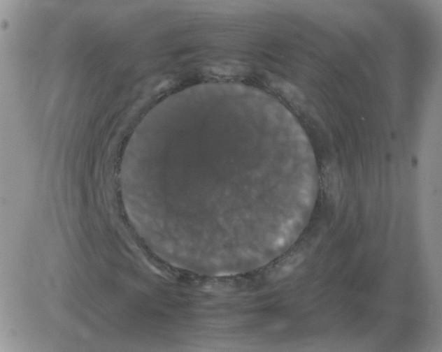 X0000082751009200702240033