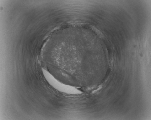 X0000082751010200702240033