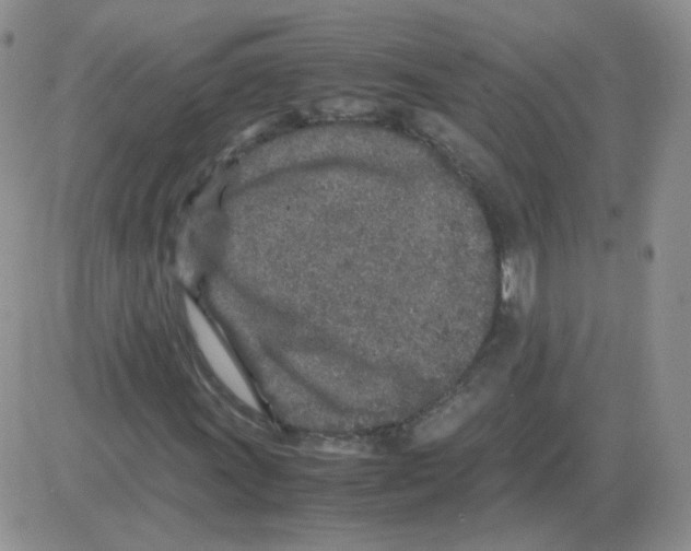 X0000082751011200702240033