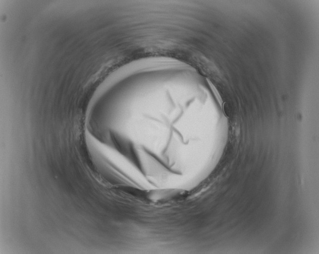 X0000082751012200702240033