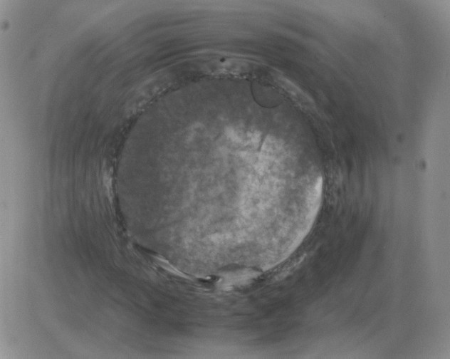 X0000082751013200702240033