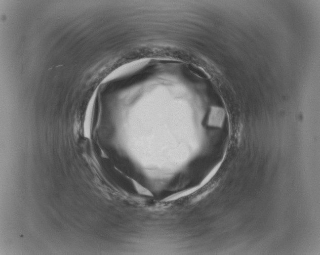 X0000082751014200702240033