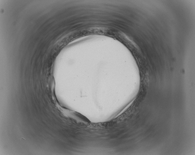 X0000082751015200702240033