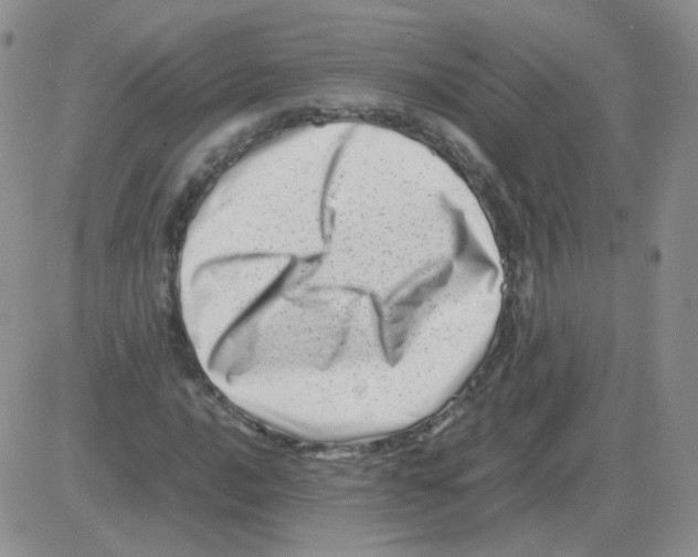 X0000082751016200702240033