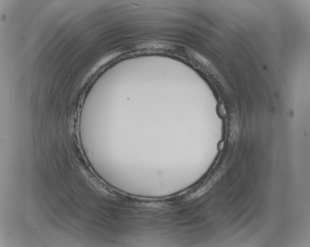 X0000082751017200702240033