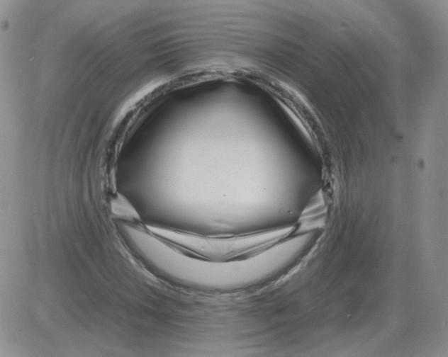 X0000082751018200702240033