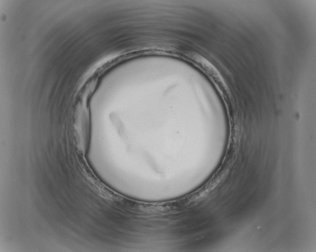 X0000082751019200702240033