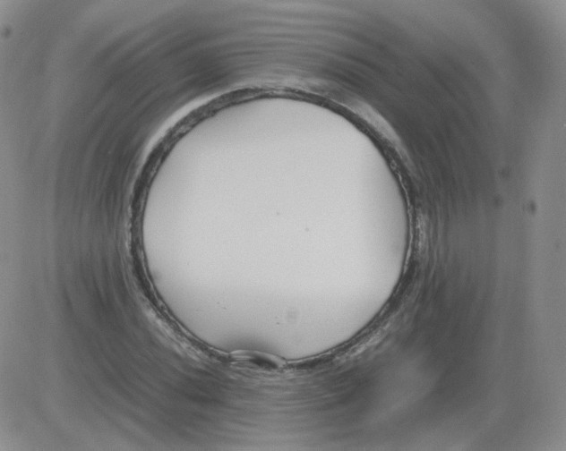 X0000082751020200702240033