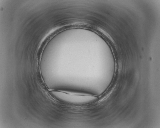 X0000082751021200702240033