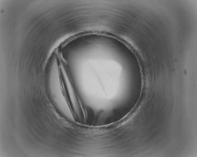 X0000082751022200702240033