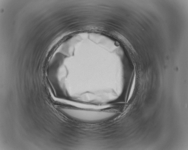 X0000082751023200702240033