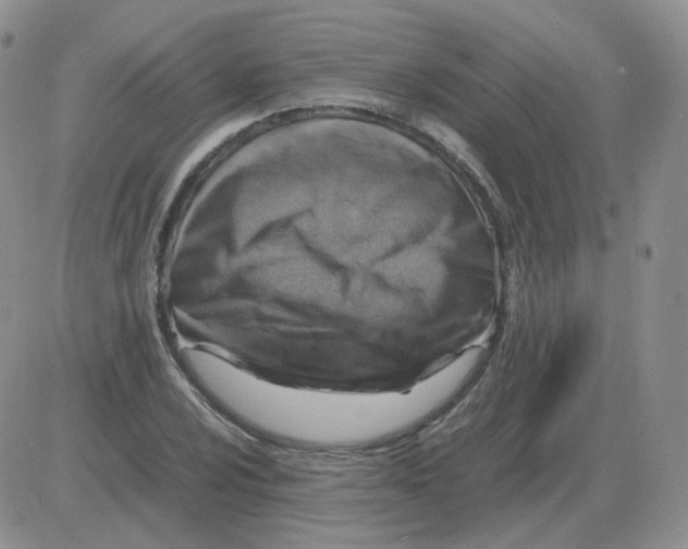 X0000082751024200702240033