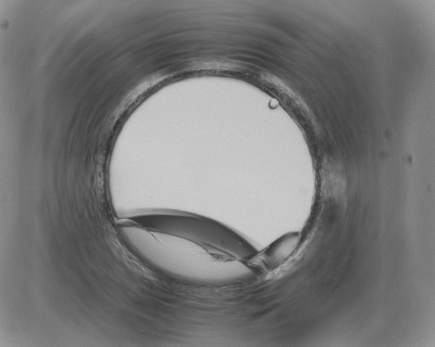 X0000082751025200702240033