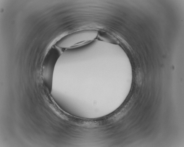 X0000082751026200702240033