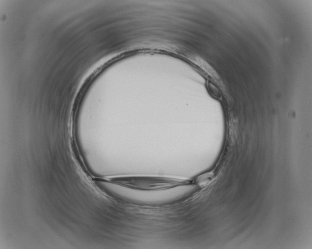 X0000082751028200702240033