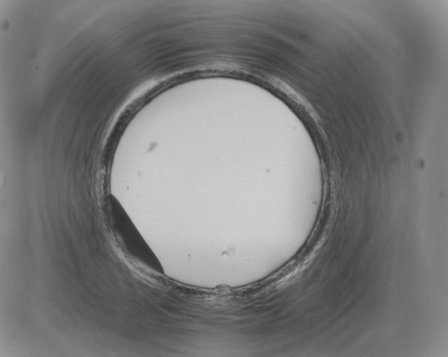 X0000082751029200702240033