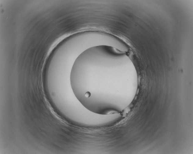 X0000082751030200702240033