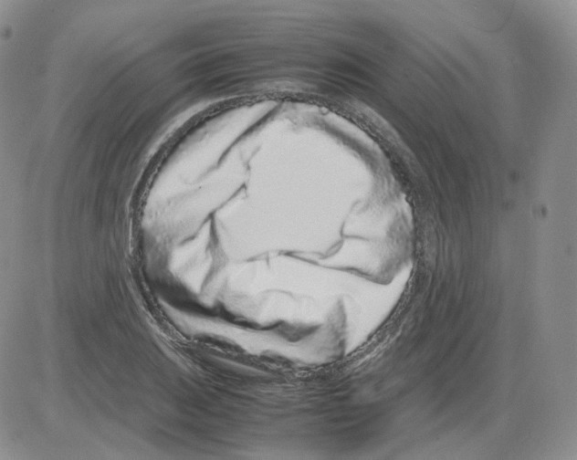 X0000082751031200702240033