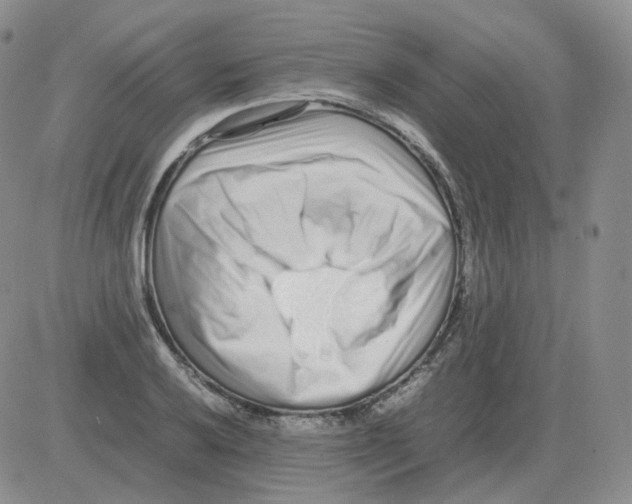 X0000082751032200702240033